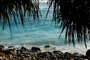 blick unter palmen heraus auf einen stein und felsen strand mit dem meer davor dessen wasser smaragd grüne farbe hat im exotischen und exklusiven resort und hotel nihi sumba auf pulau sumba in indonesien asien
